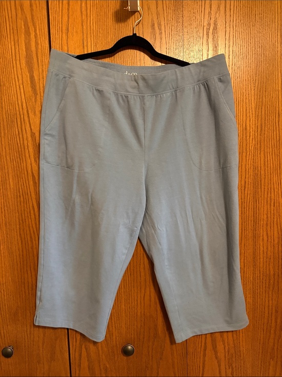 Denim and Co Pants - Denim & Co Women’s Light Blue Bermuda Shorts - 1X tall